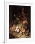 Still-life with Fruit and Insects-Rachel Ruysch-Framed Giclee Print