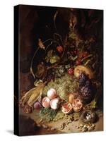 Still-life with Fruit and Insects-Rachel Ruysch-Stretched Canvas