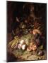 Still-life with Fruit and Insects-Rachel Ruysch-Mounted Giclee Print