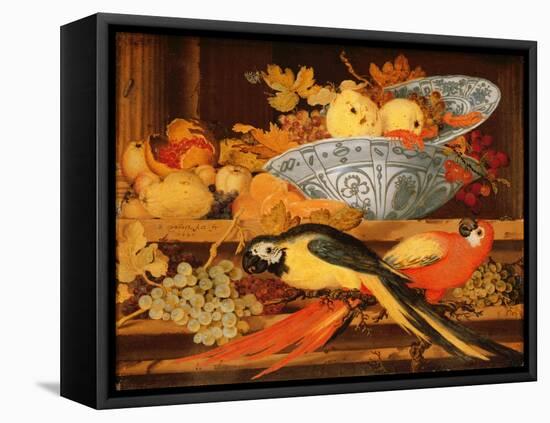 Still Life with Fruit and Macaws, 1622-Balthasar van der Ast-Framed Stretched Canvas