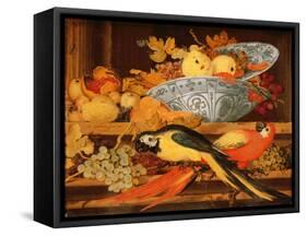 Still Life with Fruit and Macaws, 1622-Balthasar van der Ast-Framed Stretched Canvas