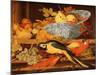 Still Life with Fruit and Macaws, 1622-Balthasar van der Ast-Mounted Giclee Print