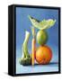 Still Life with Fruit and Vegetables-Diana Miller-Framed Stretched Canvas