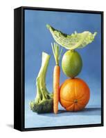 Still Life with Fruit and Vegetables-Diana Miller-Framed Stretched Canvas