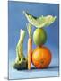 Still Life with Fruit and Vegetables-Diana Miller-Mounted Photographic Print