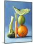 Still Life with Fruit and Vegetables-Diana Miller-Mounted Photographic Print