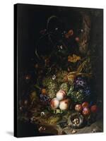 Still Life with Fruit, Flowers, Reptiles and Insects-Rachel Ruysch-Stretched Canvas