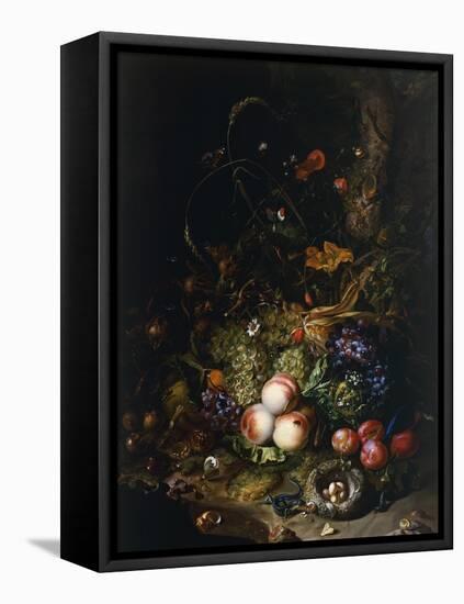 Still Life with Fruit, Flowers, Reptiles and Insects-Rachel Ruysch-Framed Stretched Canvas