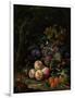 Still Life with Fruit, Foliage and Insects, C.1669-Abraham Mignon-Framed Giclee Print