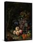 Still Life with Fruit, Foliage and Insects, C.1669-Abraham Mignon-Stretched Canvas