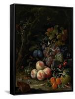Still Life with Fruit, Foliage and Insects, C.1669-Abraham Mignon-Framed Stretched Canvas