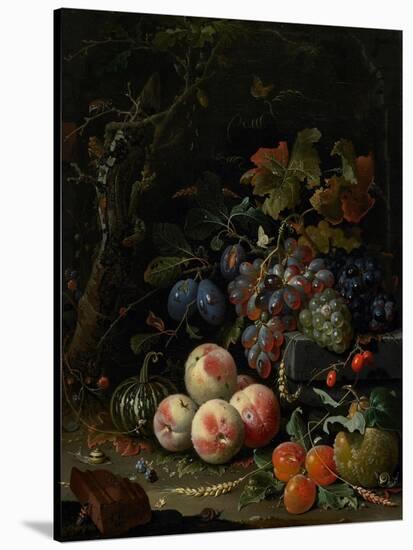 Still Life with Fruit, Foliage and Insects, C.1669-Abraham Mignon-Stretched Canvas