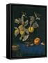 Still Life with Fruit-Willem van Aelst-Framed Stretched Canvas