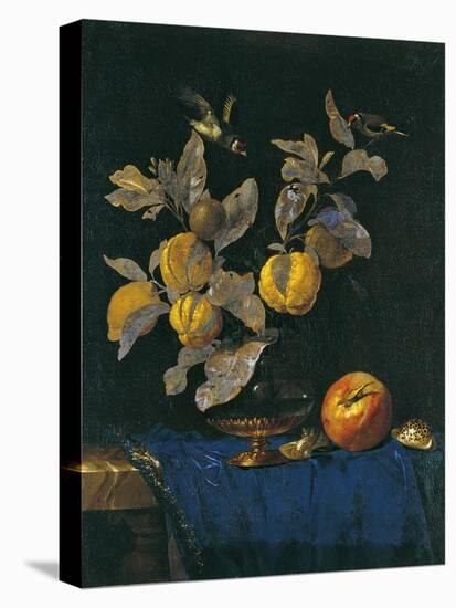 Still Life with Fruit-Willem van Aelst-Stretched Canvas