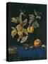 Still Life with Fruit-Willem van Aelst-Stretched Canvas