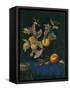 Still Life with Fruit-Willem van Aelst-Framed Stretched Canvas