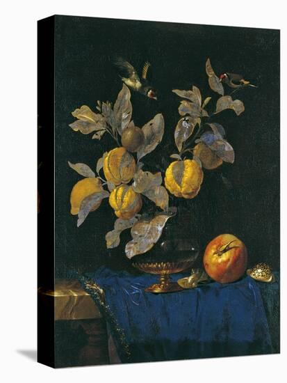 Still Life with Fruit-Willem van Aelst-Stretched Canvas