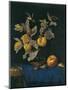 Still Life with Fruit-Willem van Aelst-Mounted Giclee Print