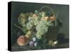 Still Life with Fruit-Jean A. Mouchet-Stretched Canvas