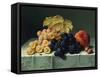 Still Life with Fruit-Emilie Preyer-Framed Stretched Canvas