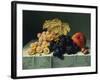 Still Life with Fruit-Emilie Preyer-Framed Giclee Print