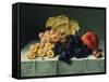 Still Life with Fruit-Emilie Preyer-Framed Stretched Canvas