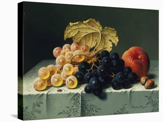 Still Life with Fruit-Emilie Preyer-Stretched Canvas