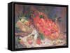 Still Life with Fruit-John Erskine-Framed Stretched Canvas