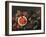 Still Life with Fruit-Giuseppe Recco-Framed Giclee Print