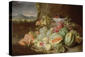 Still Life with Fruit-Alexander Coosemans-Stretched Canvas