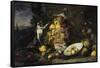 Still Life with Fruits and Monkeys-Frans Snyders-Framed Stretched Canvas