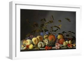 Still Life with Fruits-Balthasar van der Ast-Framed Giclee Print