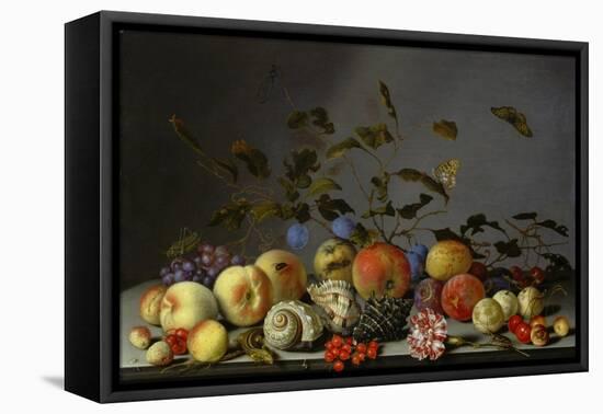 Still Life with Fruits-Balthasar van der Ast-Framed Stretched Canvas