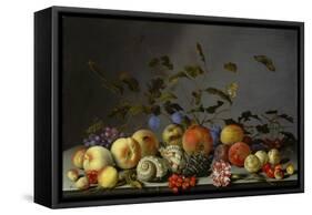 Still Life with Fruits-Balthasar van der Ast-Framed Stretched Canvas