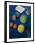 Still Life with Fruits-Kosjma Ssergej Petroff-Wodkin-Framed Giclee Print