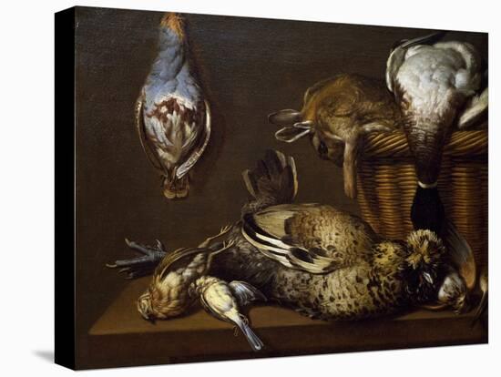 Still Life with Game, 1671-Francois Nicolas Martinet-Stretched Canvas