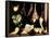 Still-Life with Game Fowl, 1600-1603-Juan Sanchez Cotan-Framed Stretched Canvas