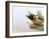 Still Life with Garlic and Various Fresh Herbs-Klaus Arras-Framed Photographic Print