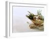 Still Life with Garlic and Various Fresh Herbs-Klaus Arras-Framed Photographic Print