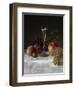 Still Life with Glass of Champagne-Filipo Or Frederico Bartolini-Framed Giclee Print