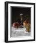 Still Life with Glass of Champagne-Filipo Or Frederico Bartolini-Framed Giclee Print
