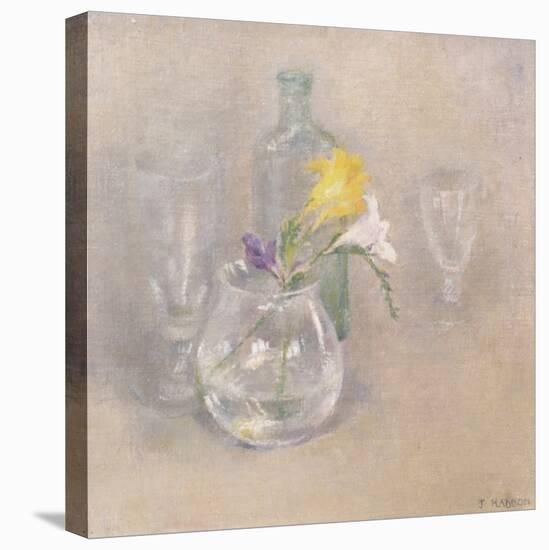 Still Life with Glass-Joyce Haddon-Stretched Canvas