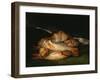 Still Life With Golden Bream-Francisco de Goya-Framed Giclee Print