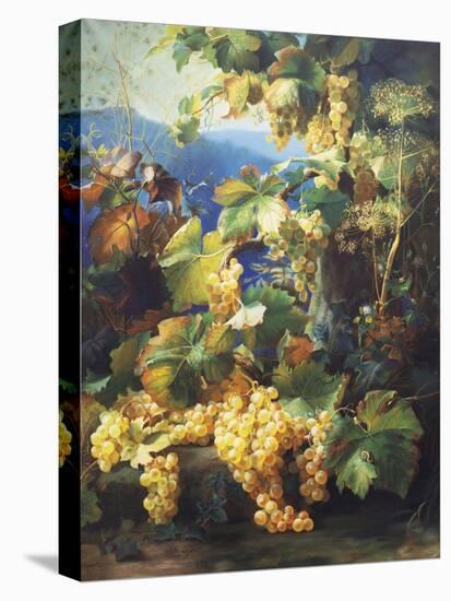 Still Life with Grape-Alexis Kreyder-Stretched Canvas