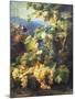 Still Life with Grape-Alexis Kreyder-Mounted Giclee Print