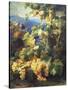 Still Life with Grape-Alexis Kreyder-Stretched Canvas
