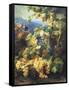 Still Life with Grape-Alexis Kreyder-Framed Stretched Canvas