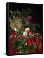 Still Life with Grapes and Peaches-Willem van Aelst-Framed Stretched Canvas