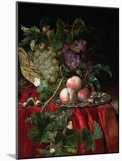 Still Life with Grapes and Peaches-Willem van Aelst-Mounted Giclee Print