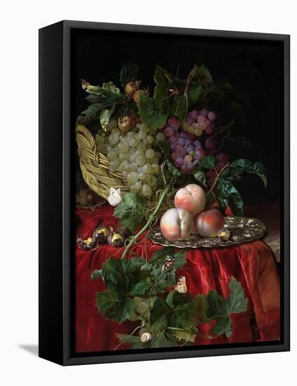 Still Life with Grapes and Peaches-Willem van Aelst-Framed Stretched Canvas